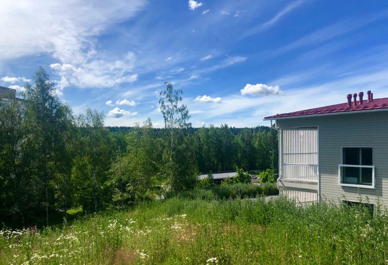 Studio Ludicrous Casa Kallio - Casa Virta Tampere Esterno foto